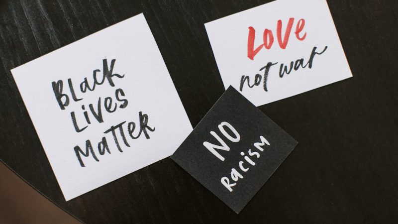 Manual Anti racista: Promovendo a Igualdade e a Justiça Racial